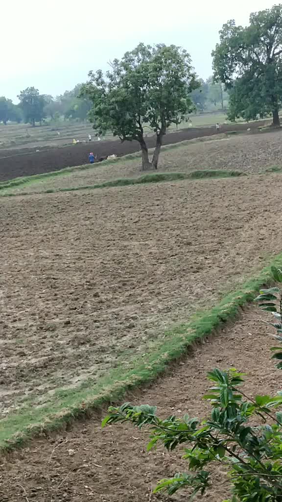 @Indu बस्तरिया ग्रुप