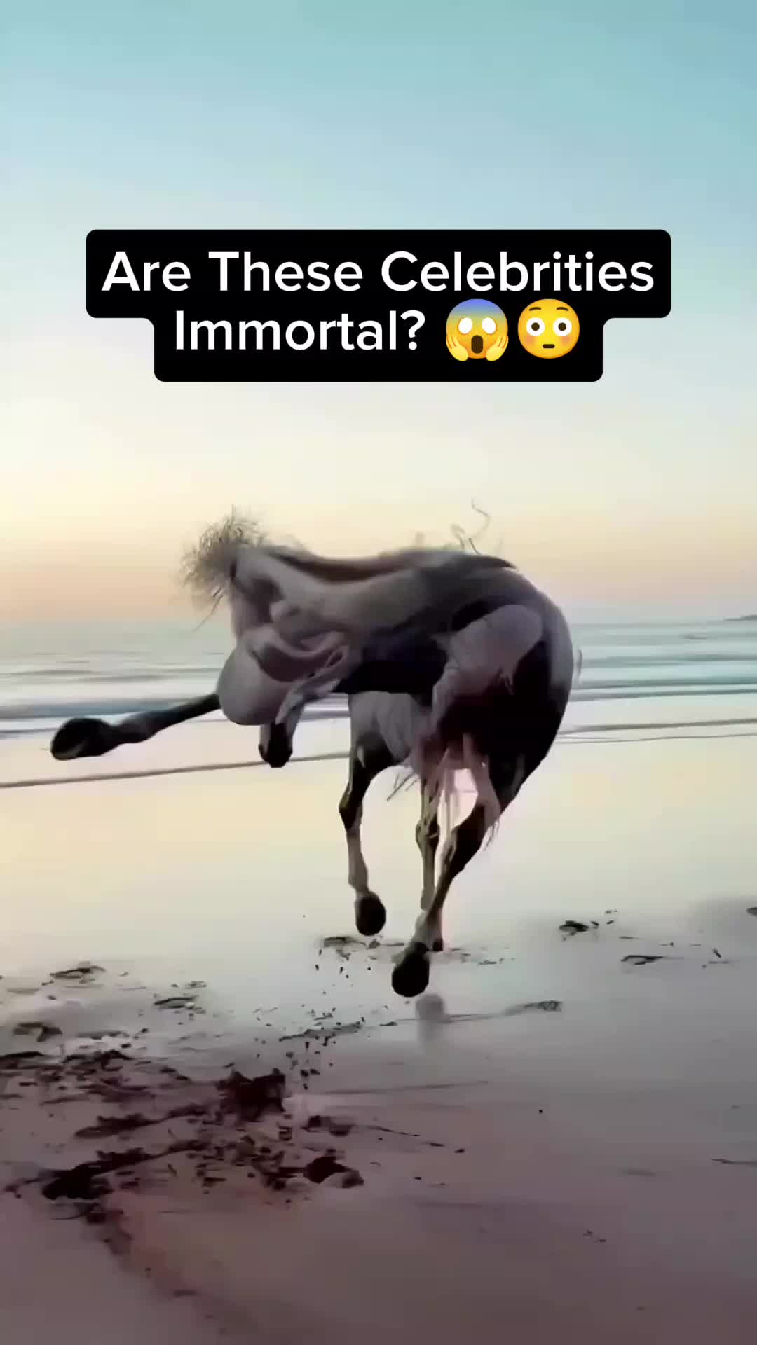 @horror videos