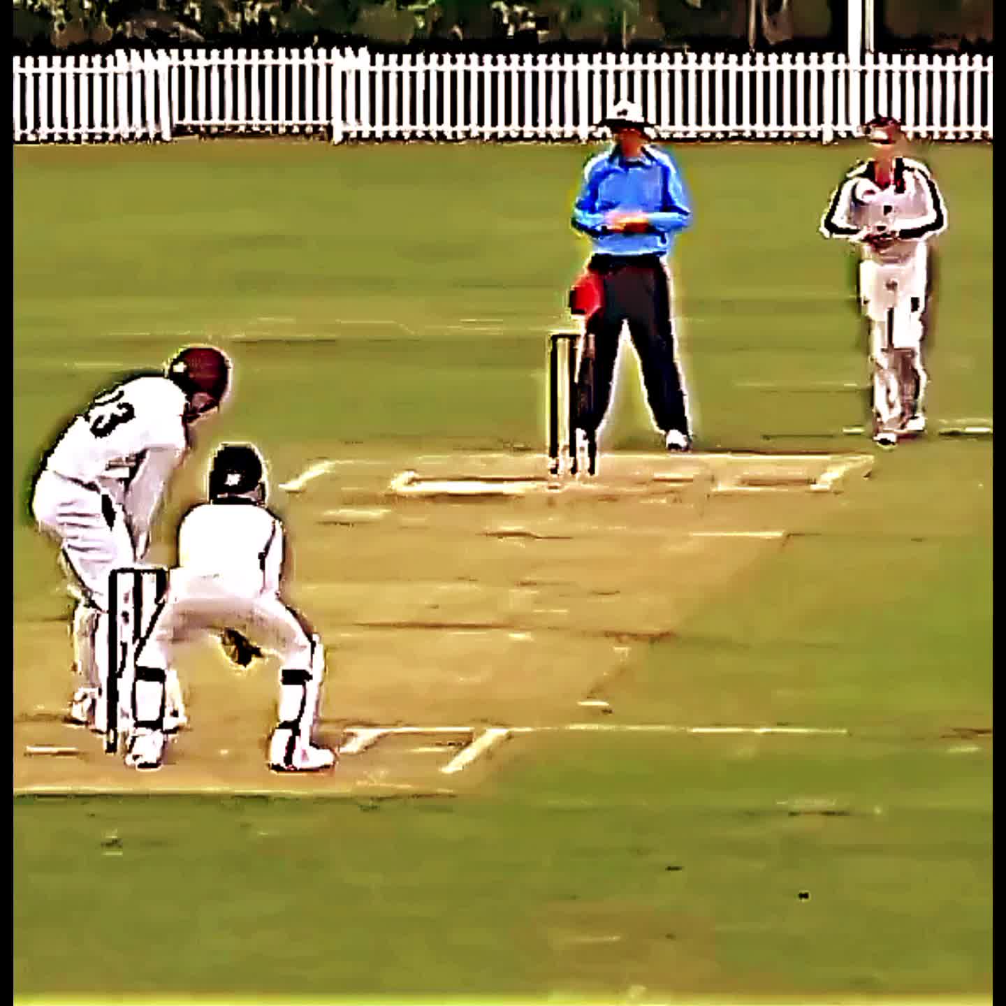 @Cricket X Memes