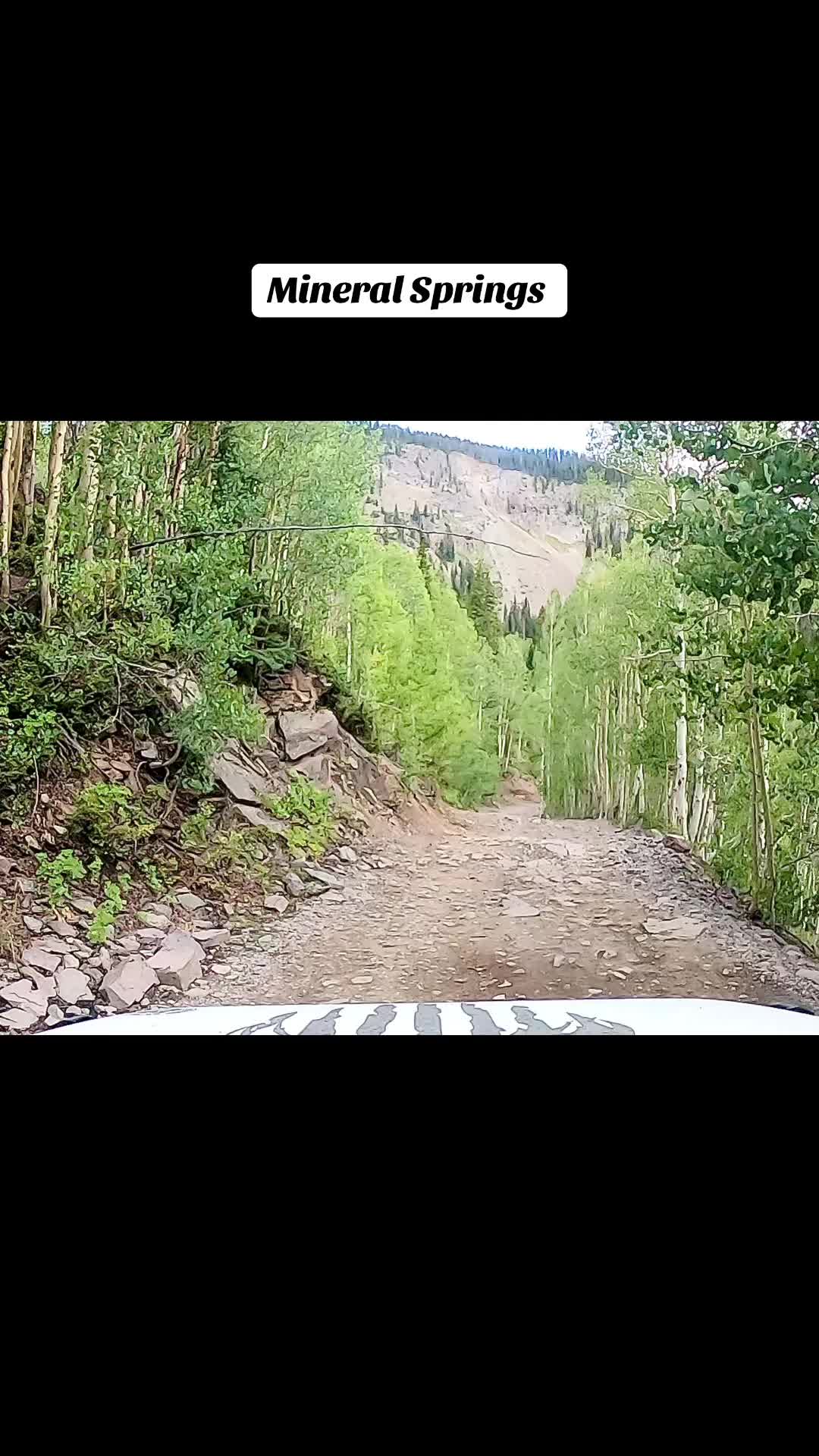 @217_olllllllo