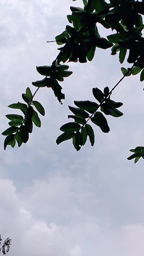 @Harsh Verma