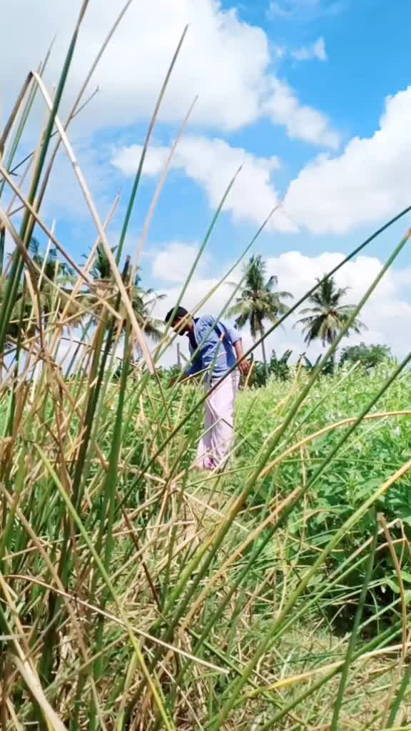 @தஞ்சை தினேஷ்