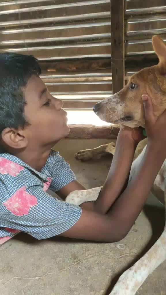 @Kalai Rohit