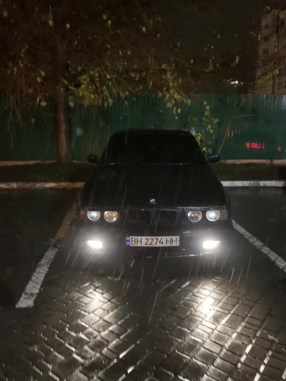 @Gurulogia🫀