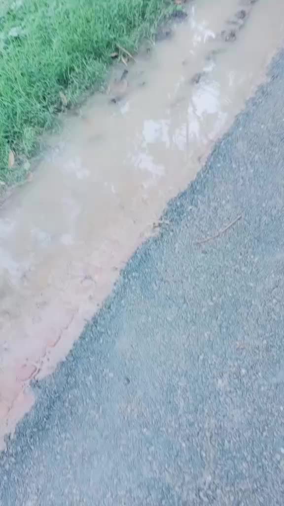 @bipan Kumar 66