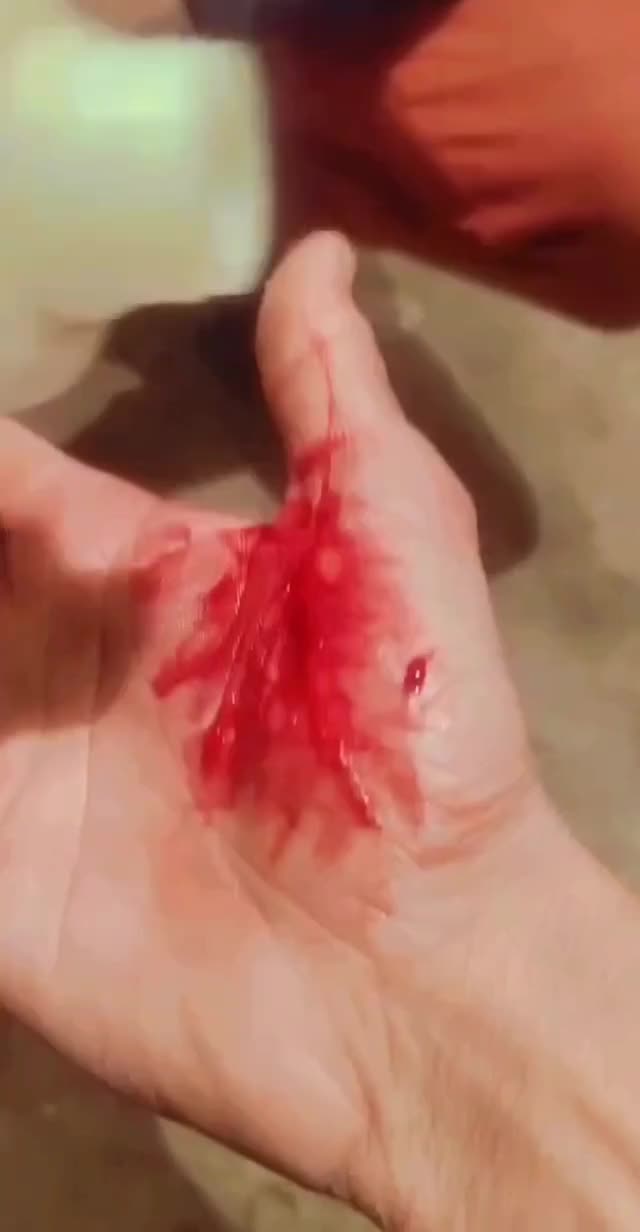 @user7402797247553