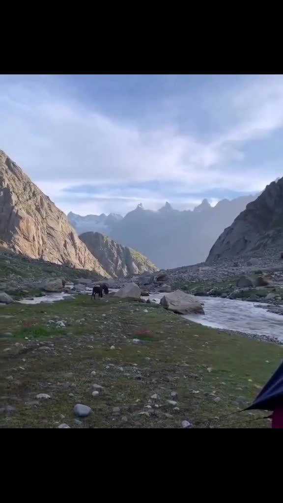 @Sukhpal Sukh