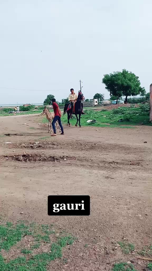 @🐴🐎નટખટ અષવાર 😉😁