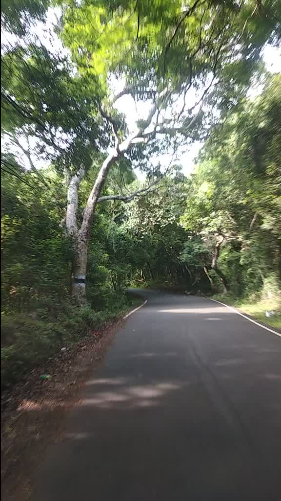 @kokki Kumar 003