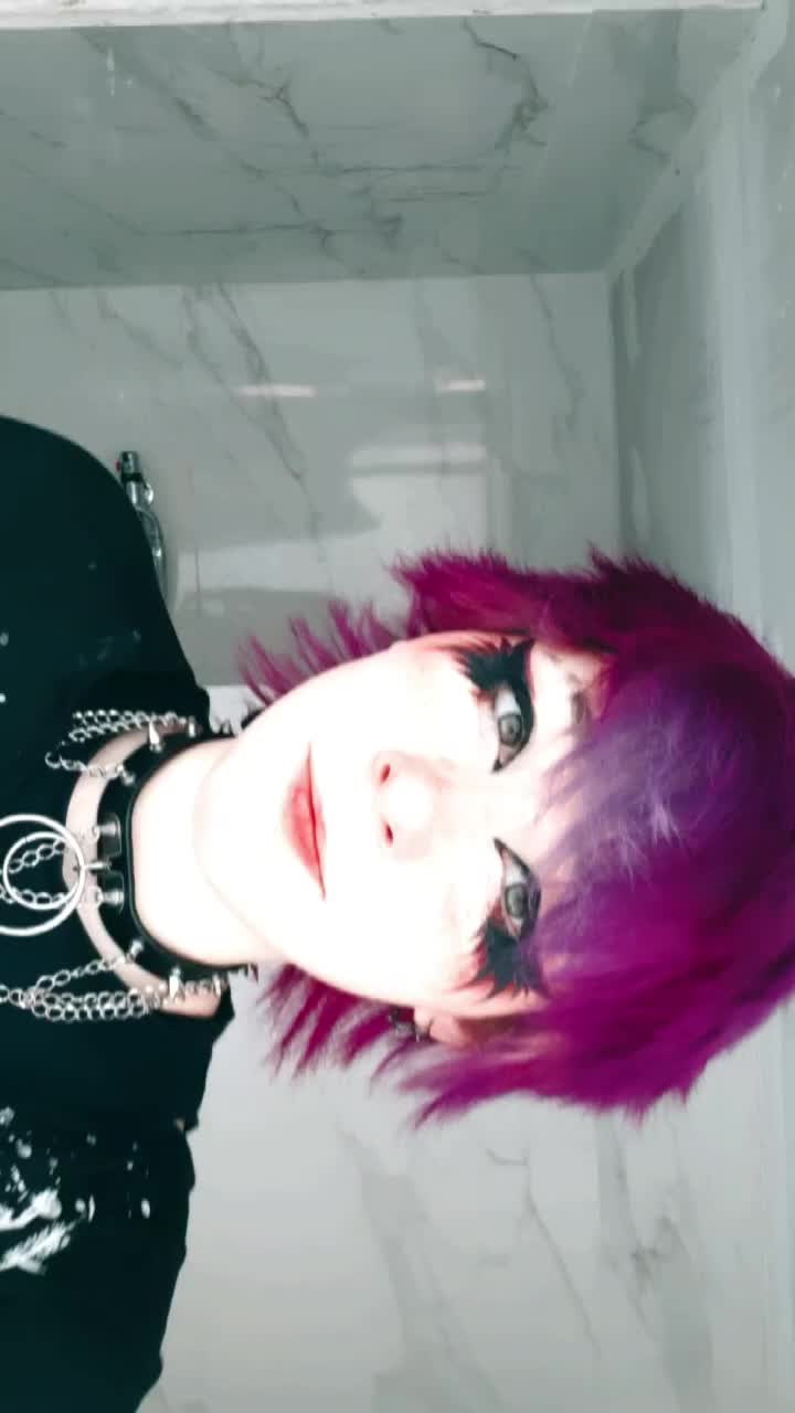 @the_last_meow