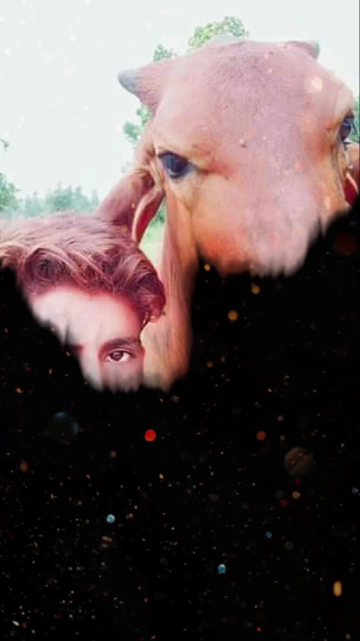 @રાધા💏&Ntilde;&Oslash;💔કાનુંD&Oslash;👑