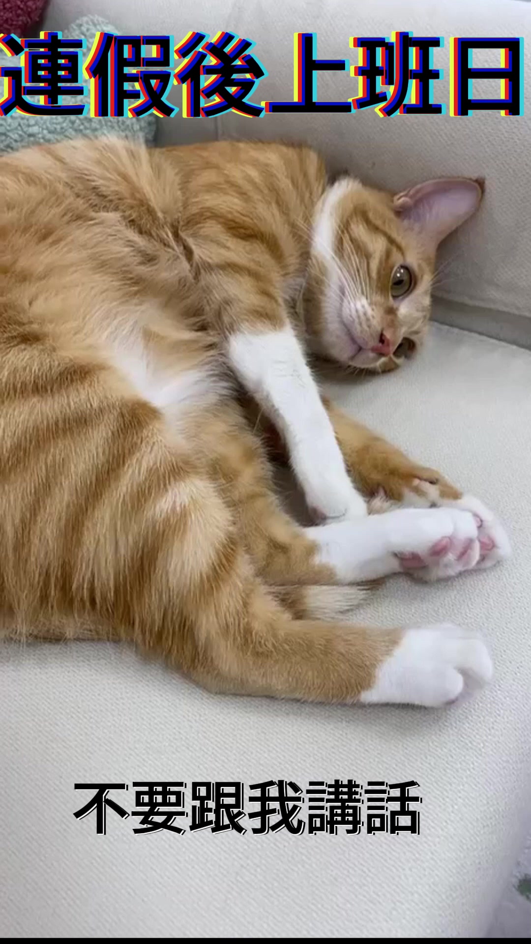 @柑仔弟弟
