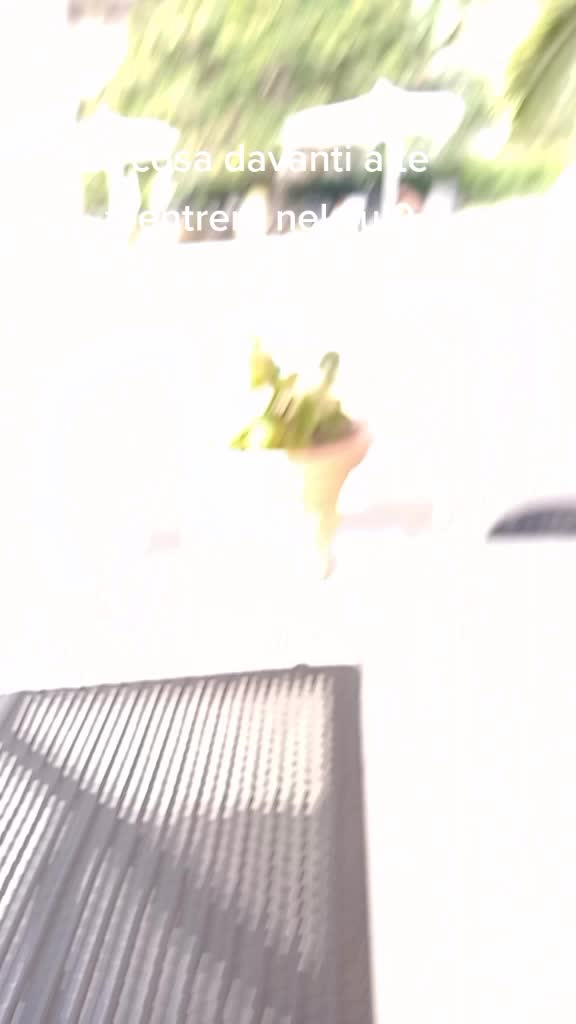 @🆘️tronzo