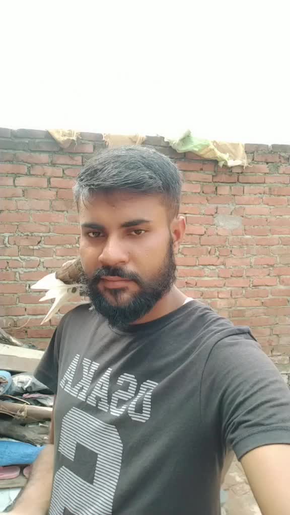 @Sahjad       Ansari