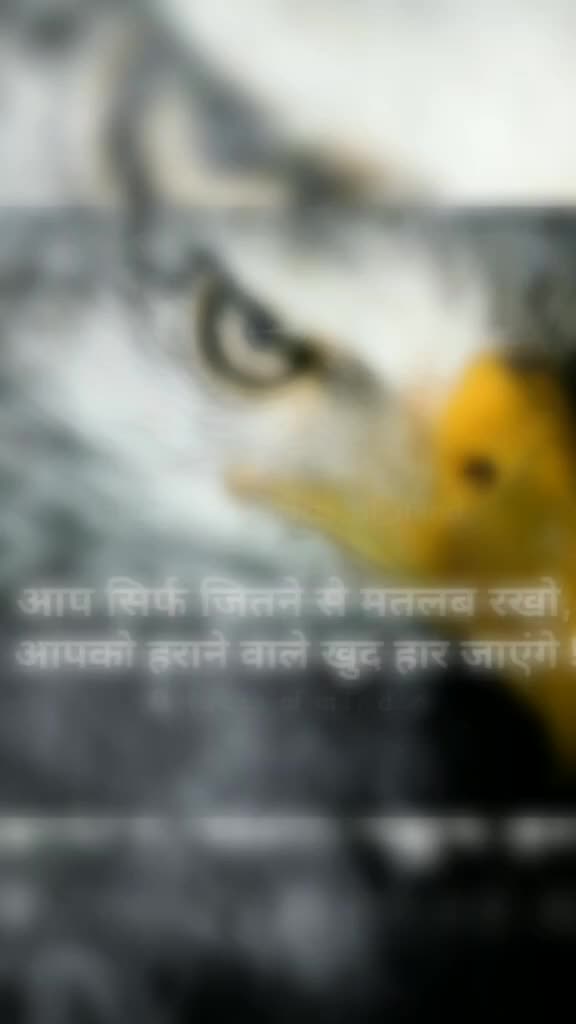 @Harshad Chavda 13