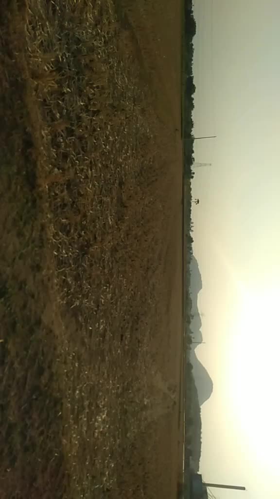 @Maniraj Goud