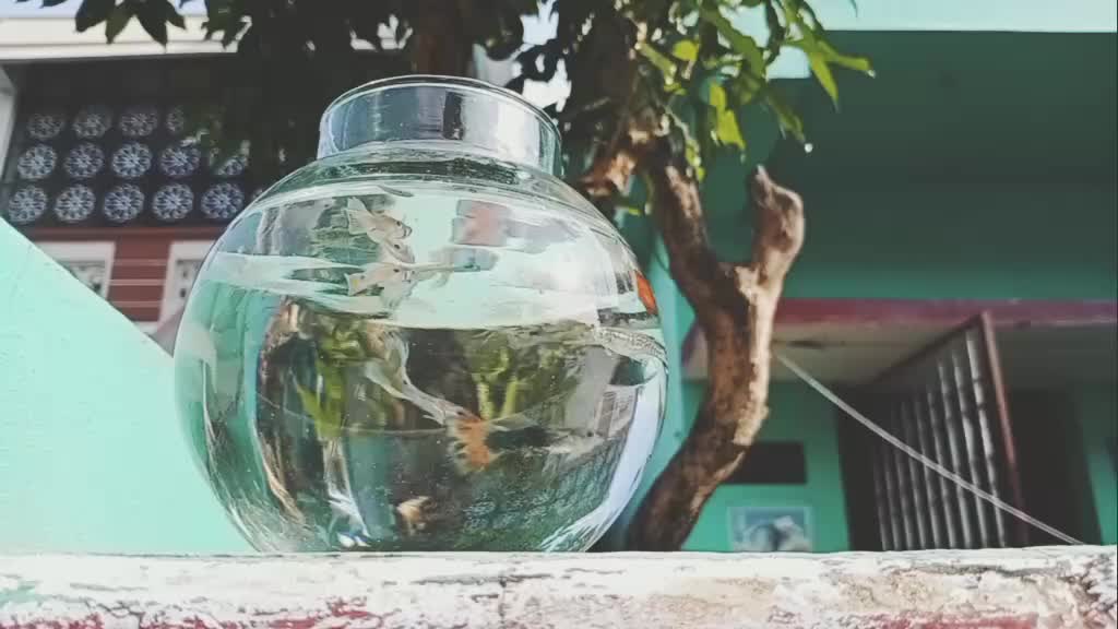@Chandru Nurani