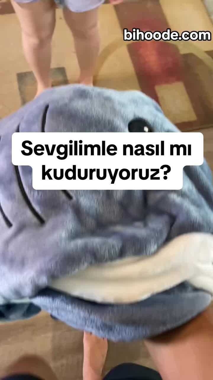 @bihoode.com