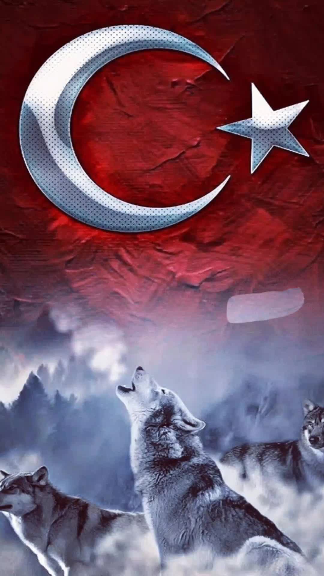@Derya Mert