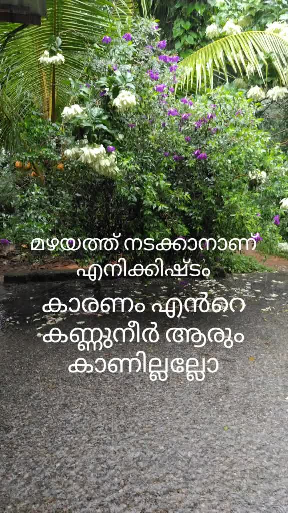 @😎 mr. പ വ നാ യി  🤓