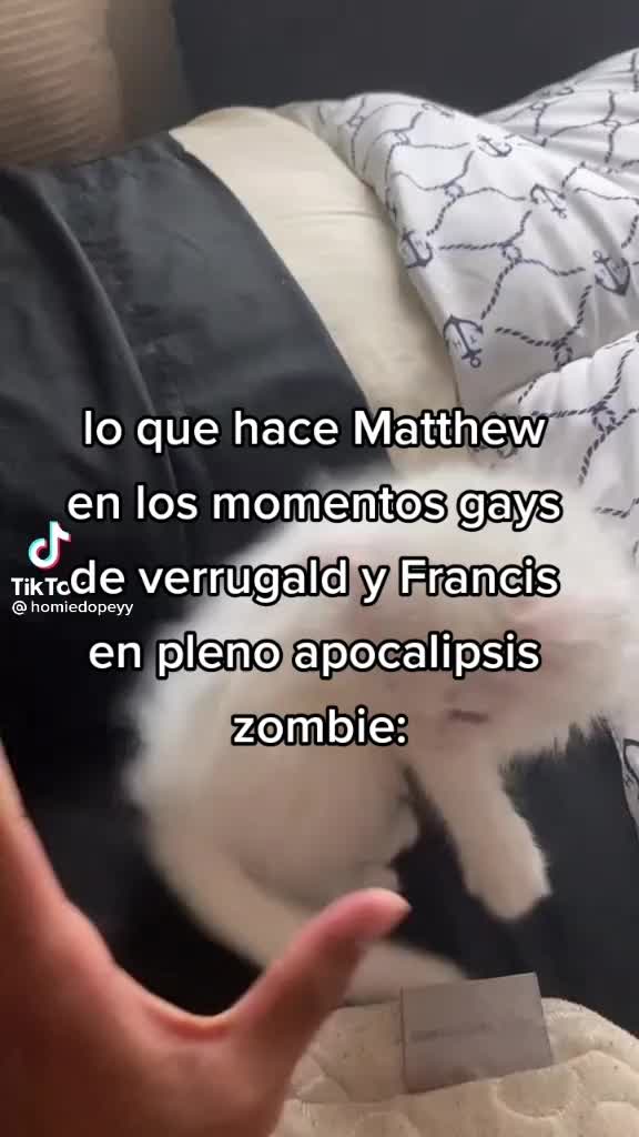 @rolhetaliano