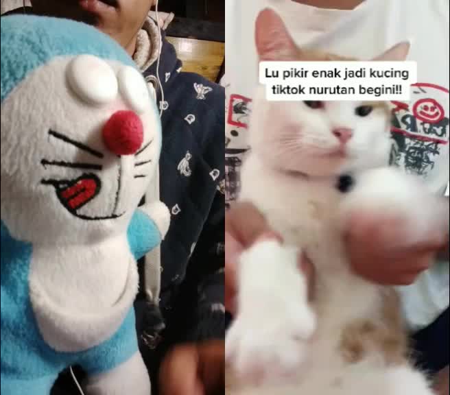 @hiu_elfatih