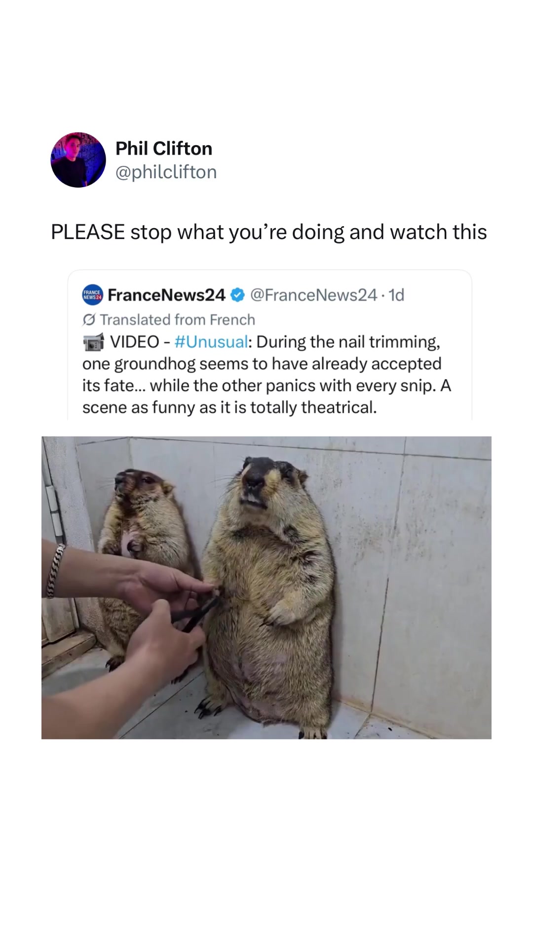 @thephilclifton