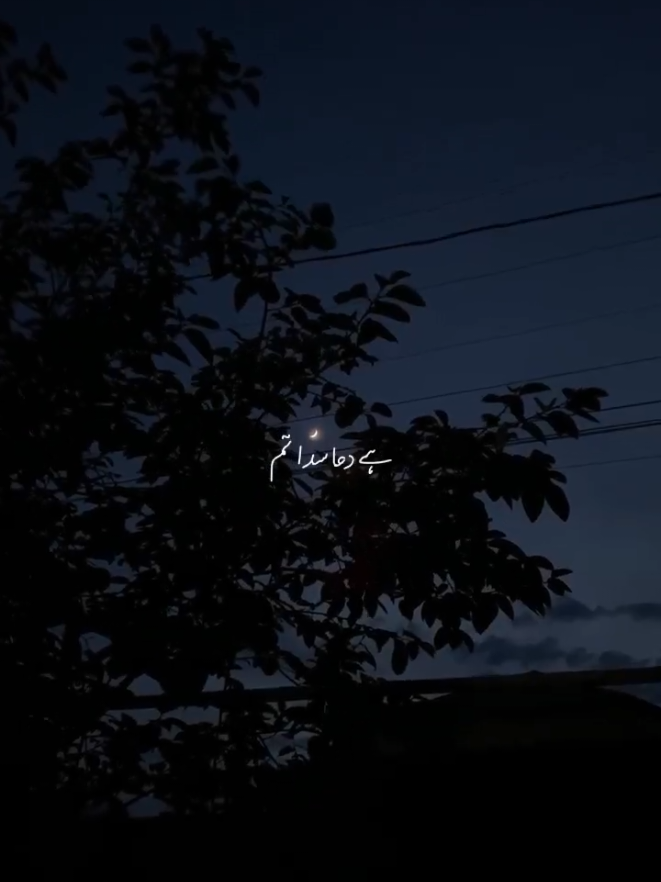 @<3🫀🎧
