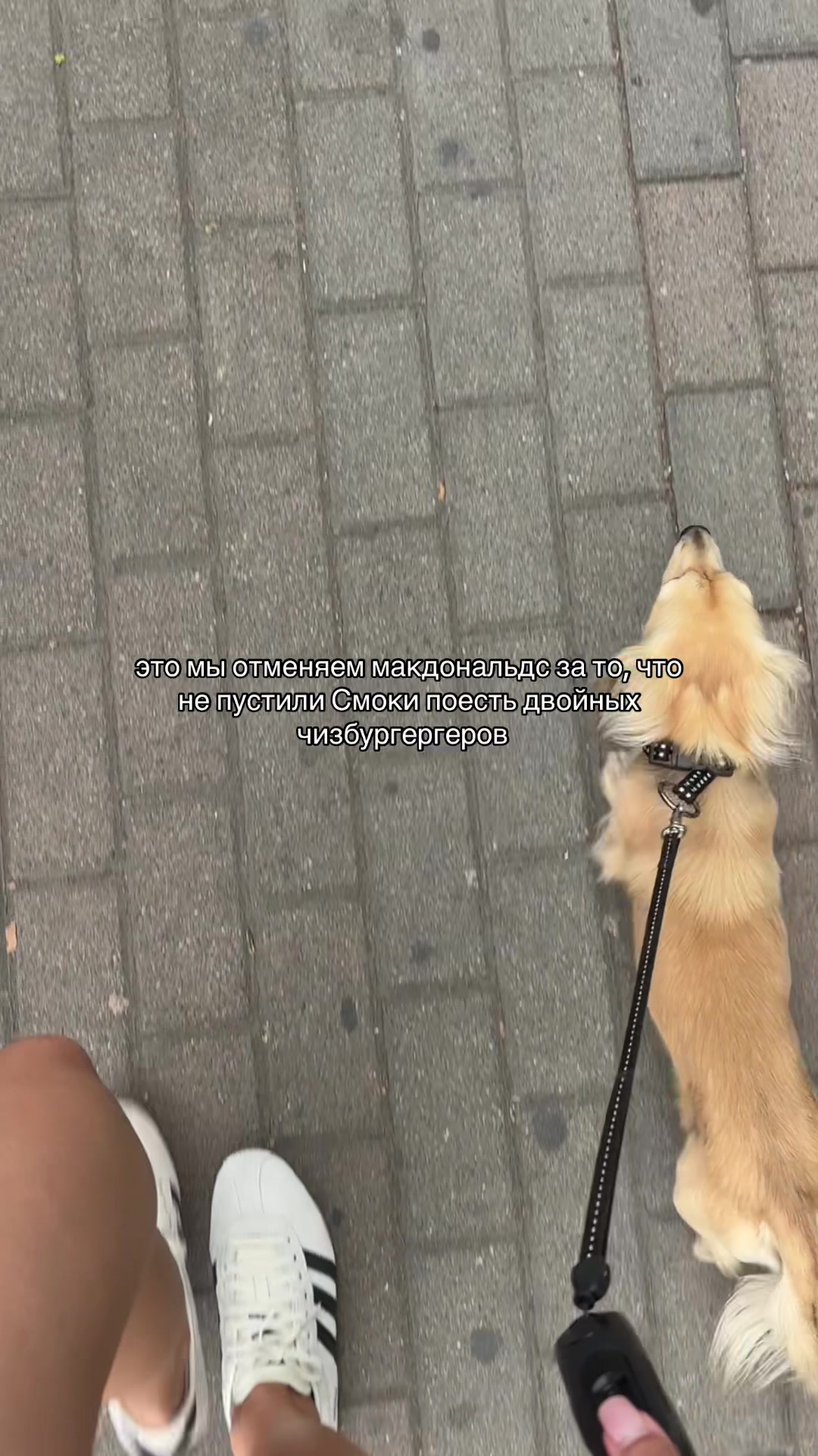 @алина марковка