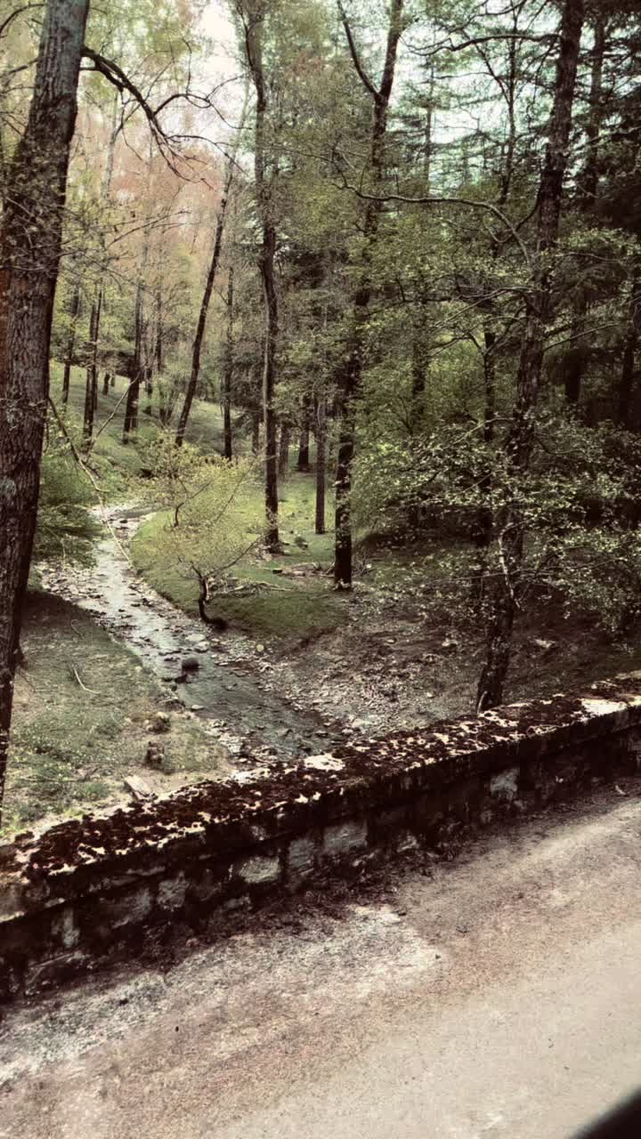 @𝑺𝑨𝑳𝑽𝑶