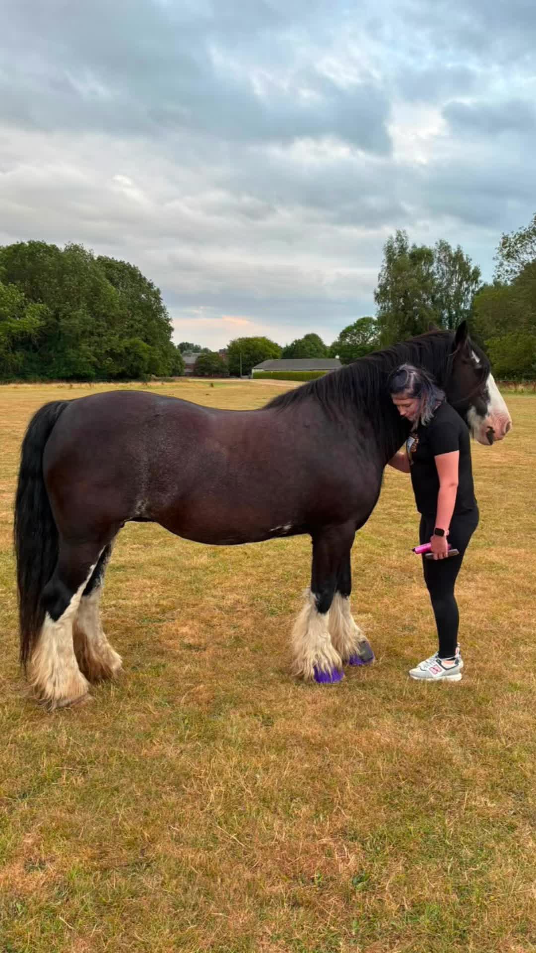 @🇱🇹🐎🦋it’s rinaaaa🦋🐎🇬🇧