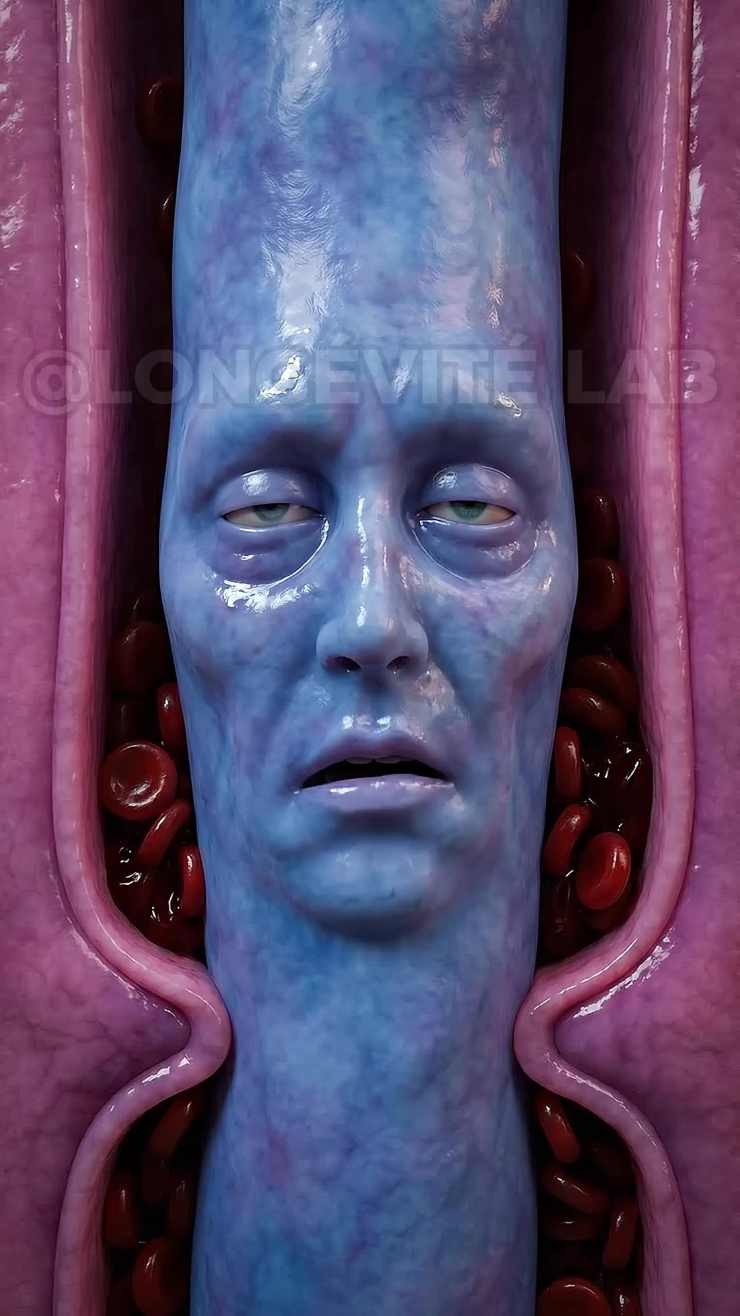 @longevite_lab