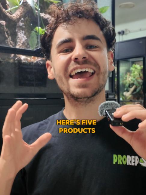 @prorep_reptile