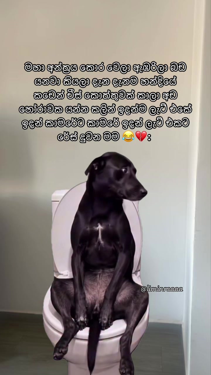 @Lisumi Jayawardana