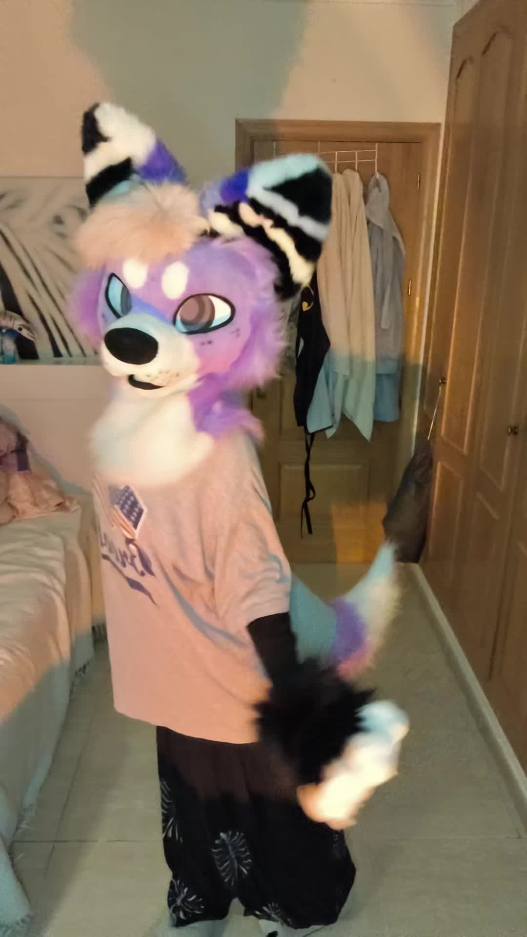 @Kyo_da_Wolf