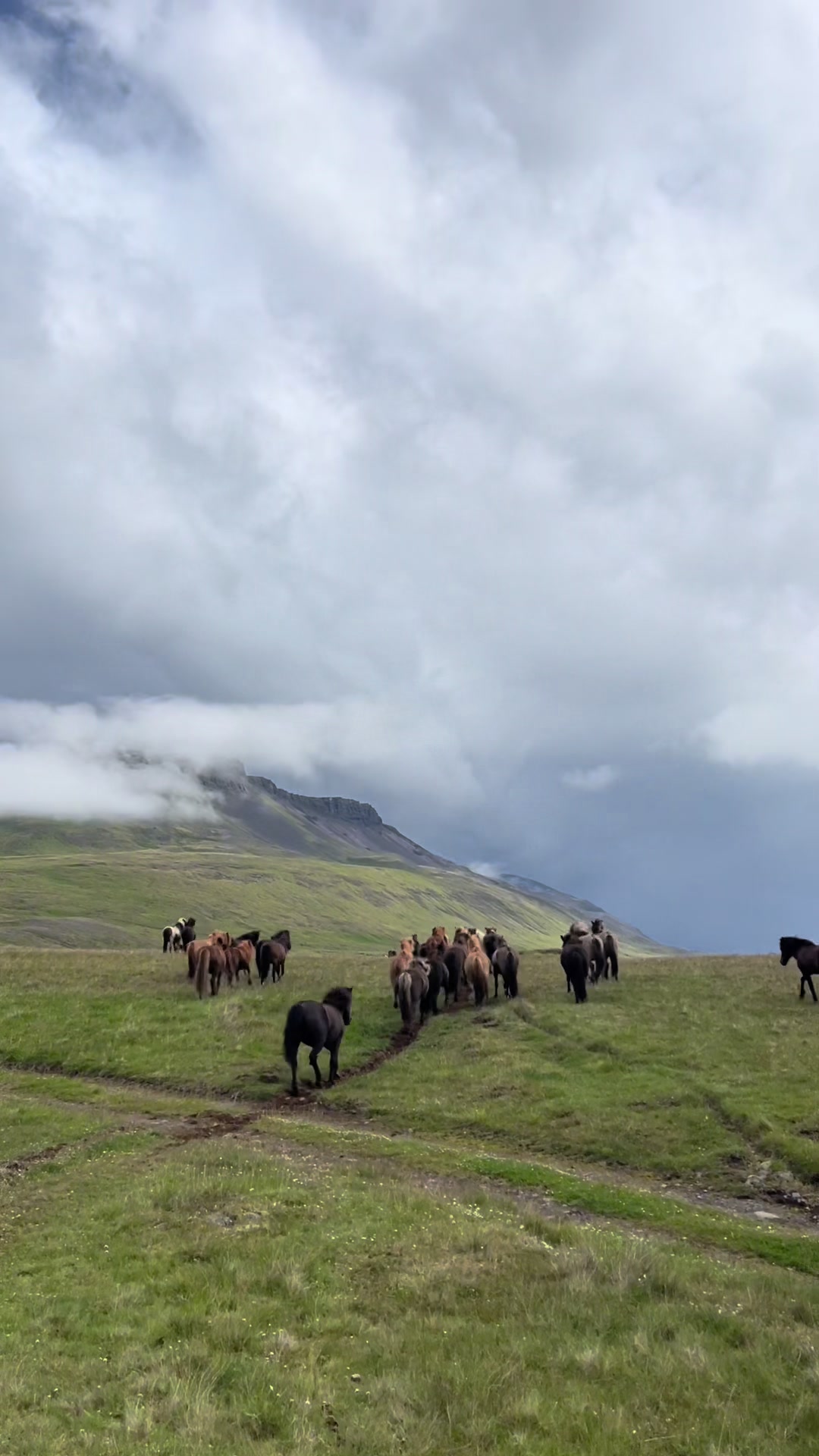 @nordwind_reitreise