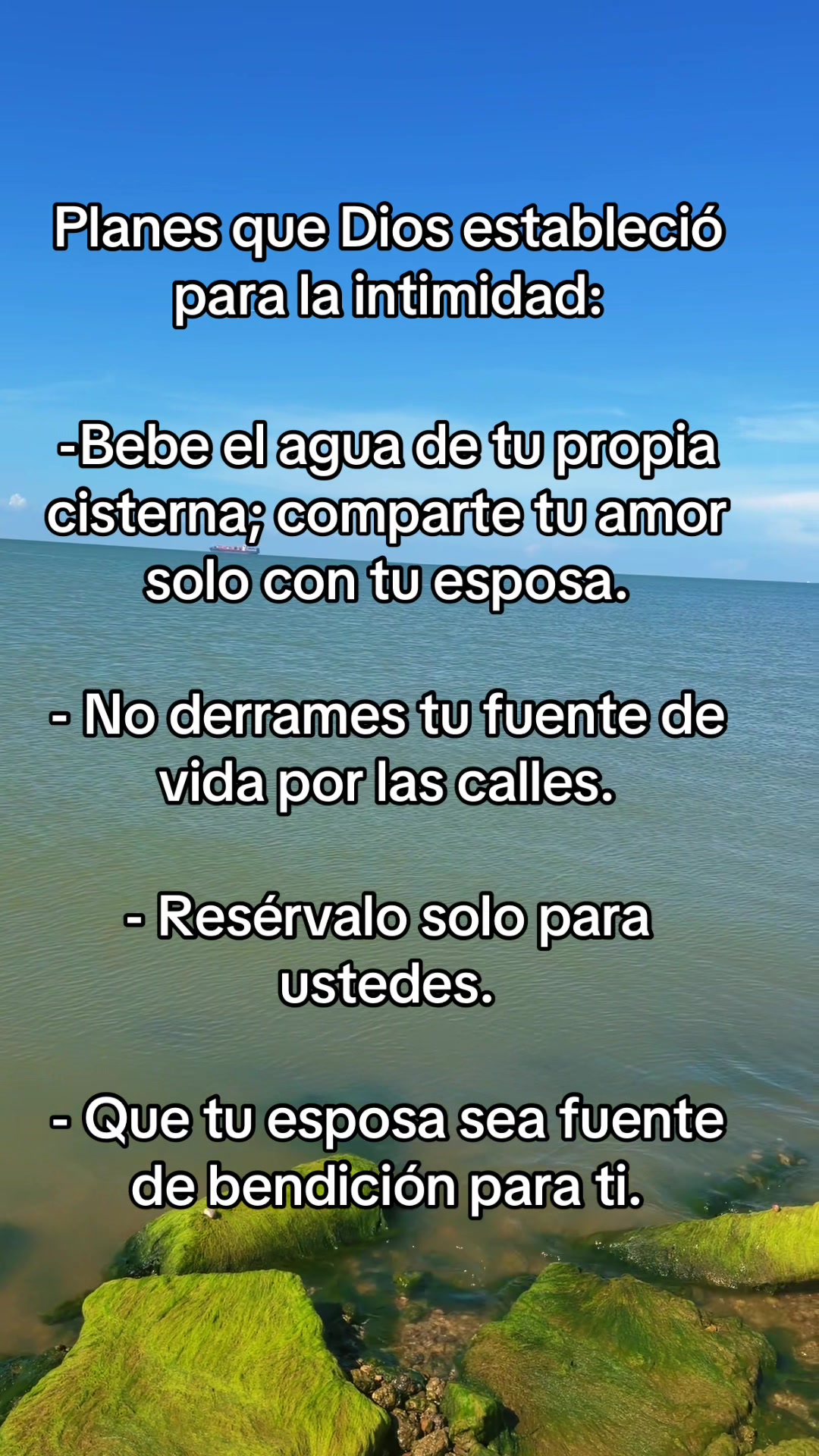 @Viviendo el matrimonio 🤪