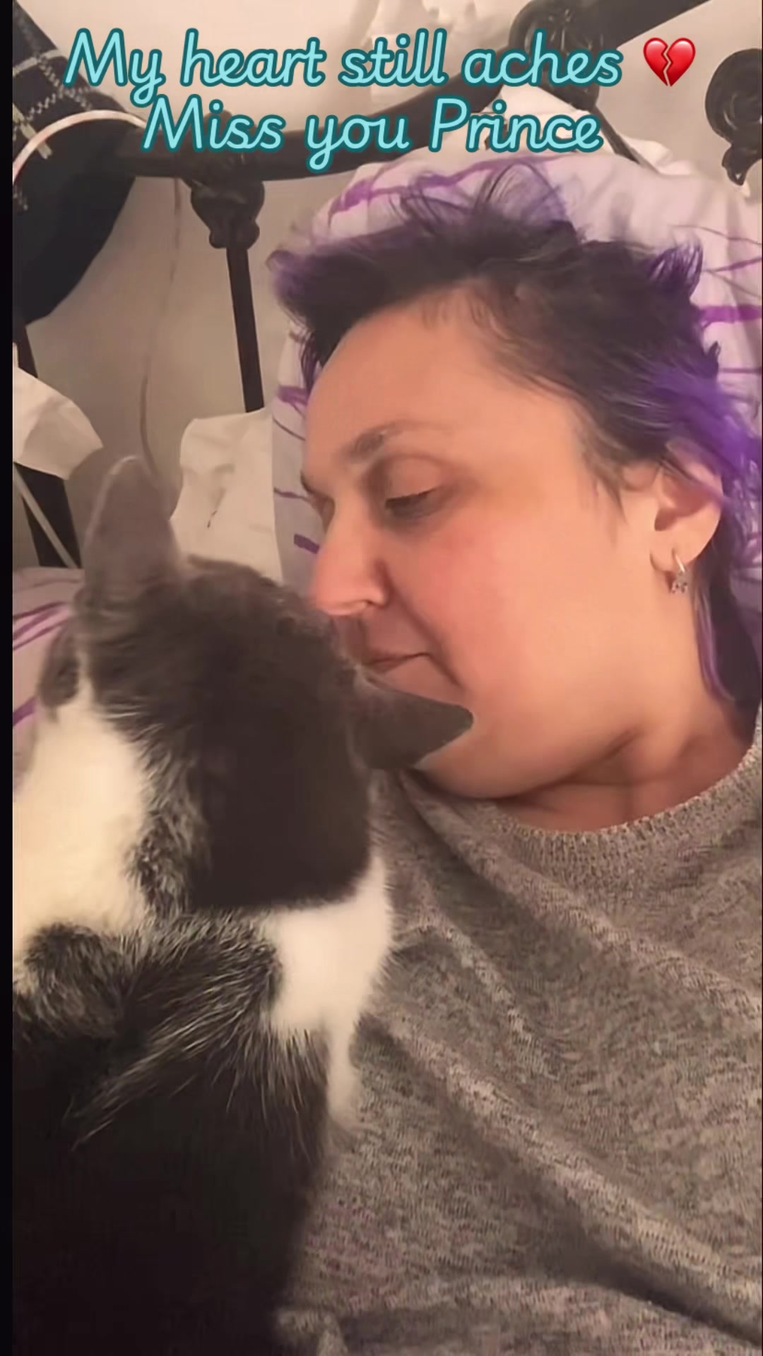 @romina_mycatfamily
