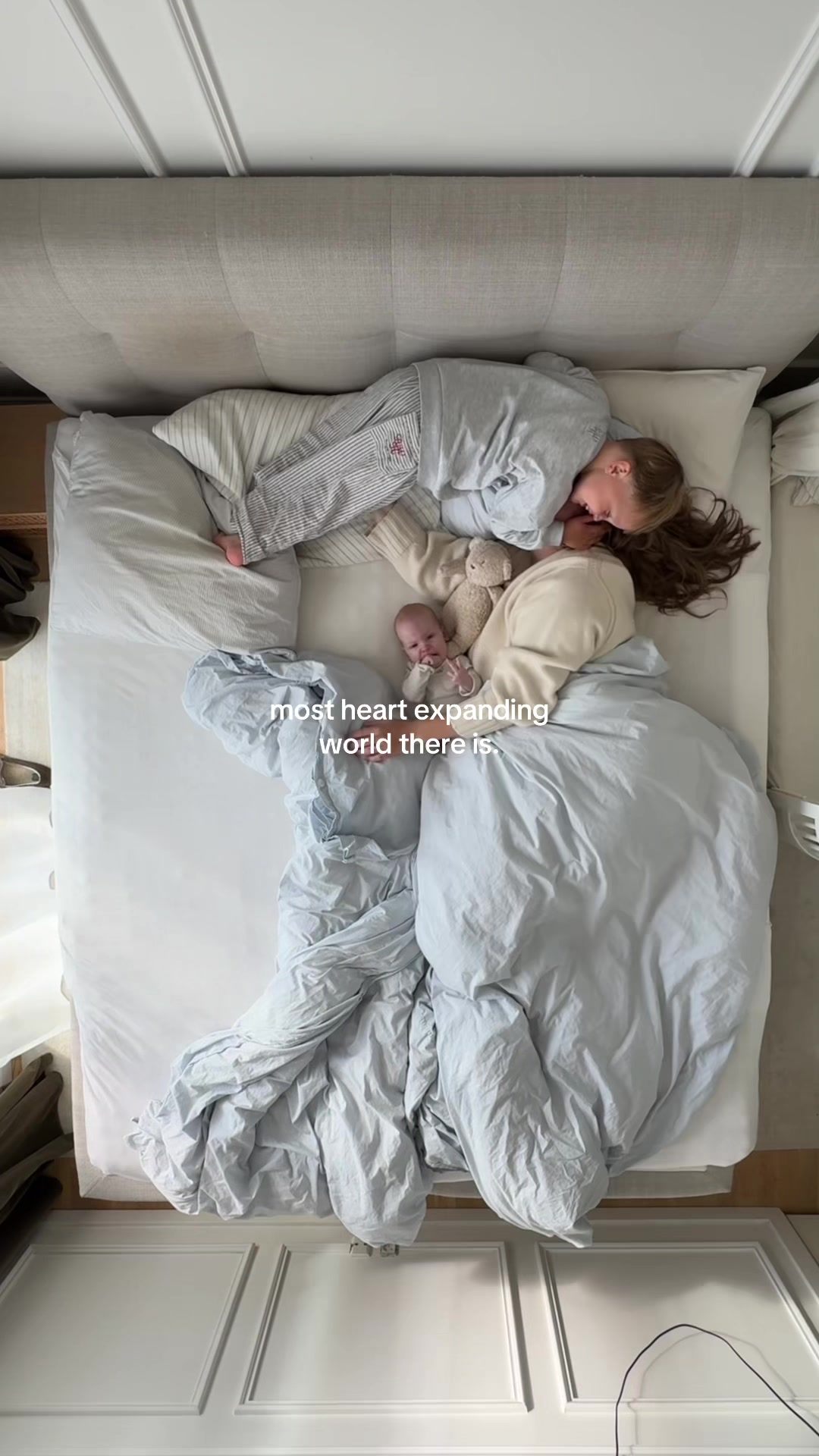@an&iacute;ta mj&ouml;ll