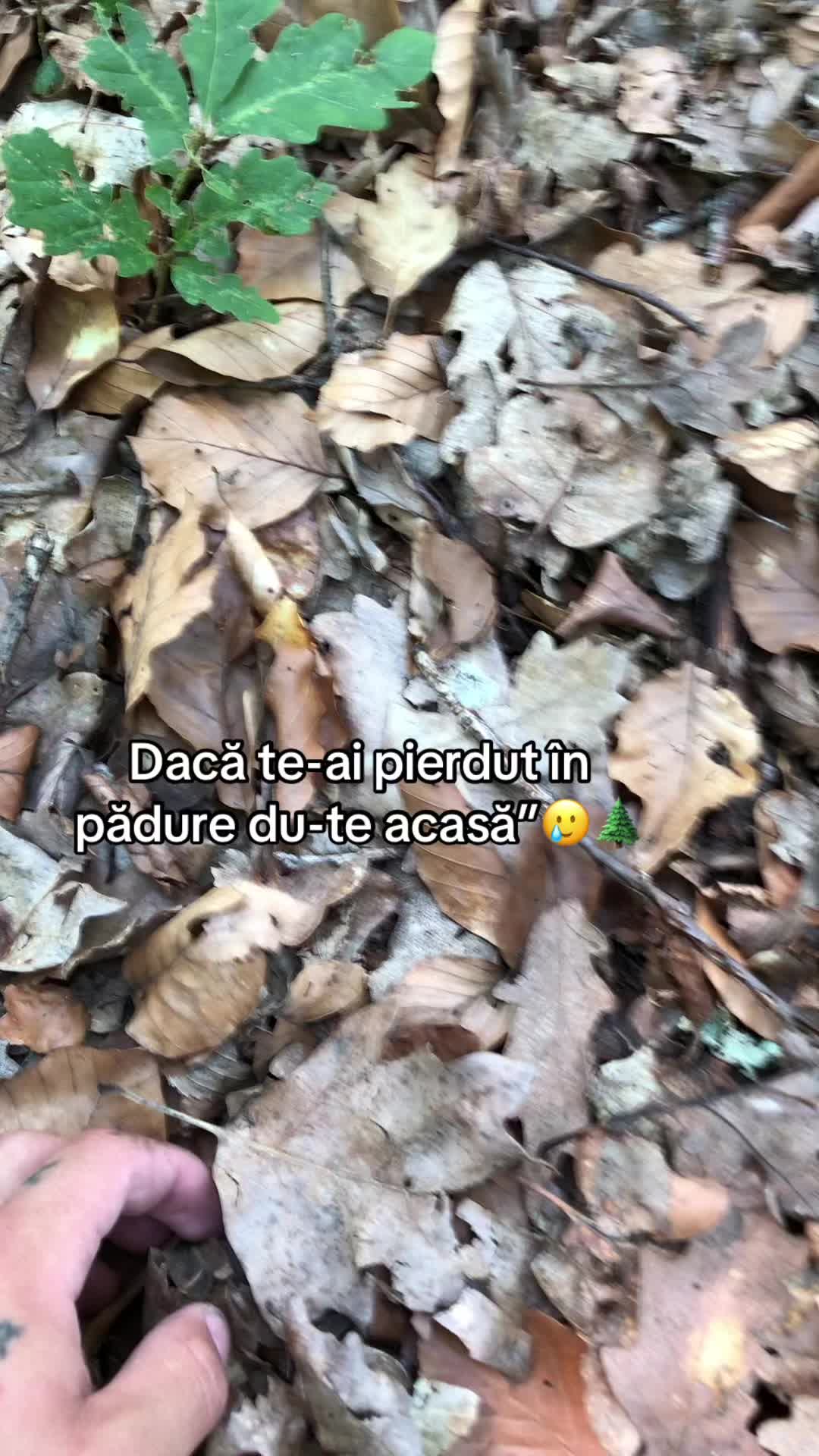@🦅
