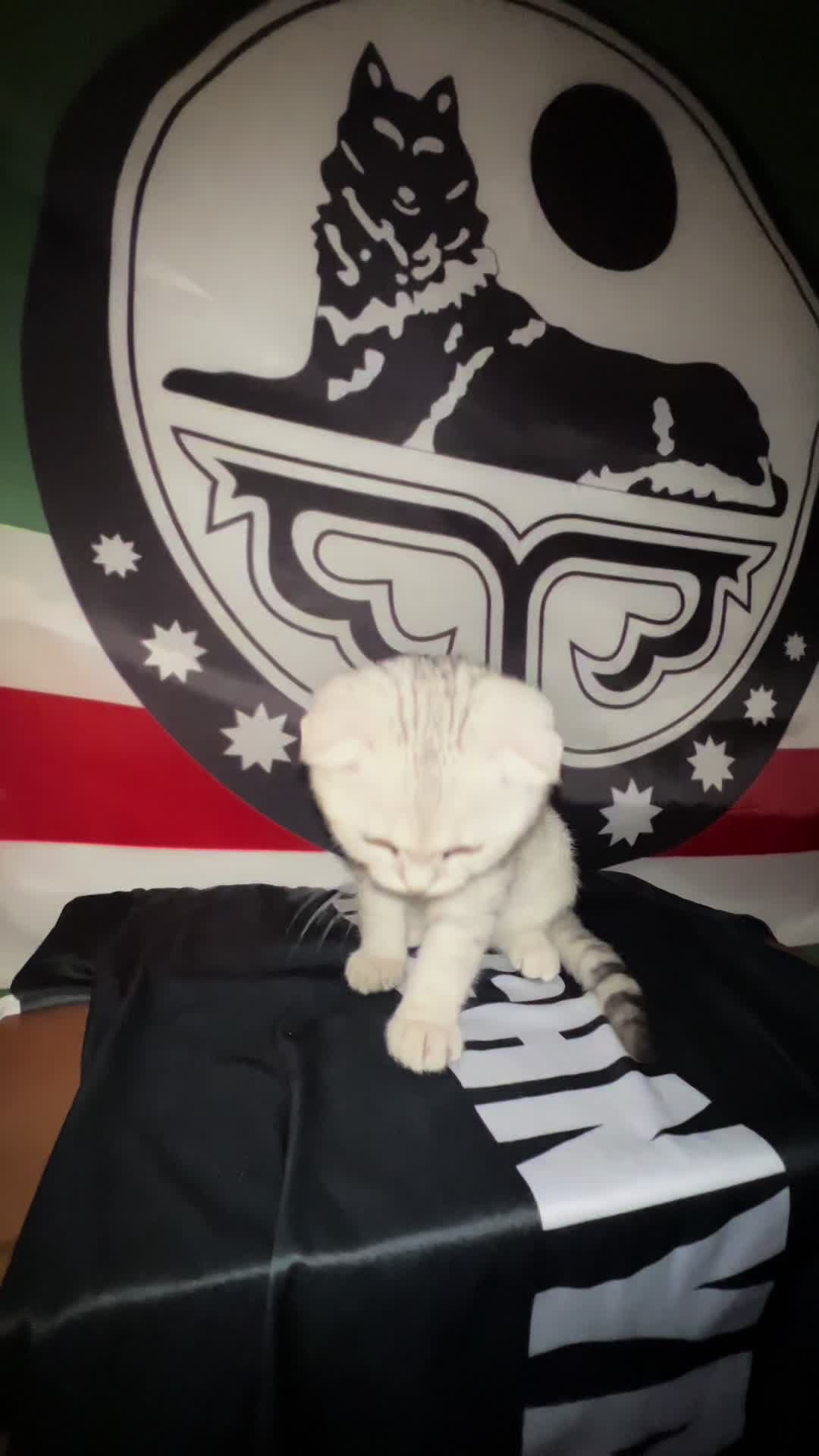 @𝐍𝐎𝐗𝐂𝐇𝐈⛰️