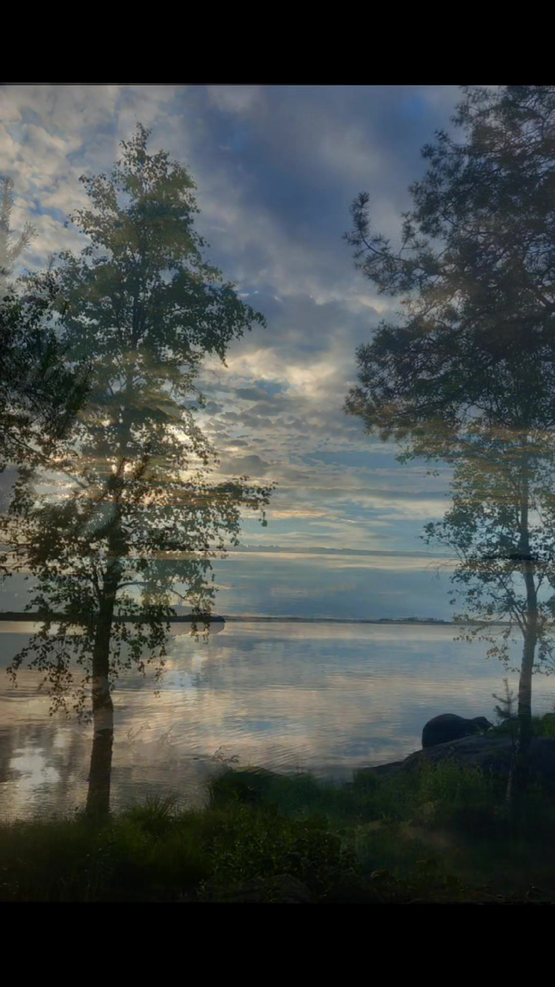@Laura 🇫🇮