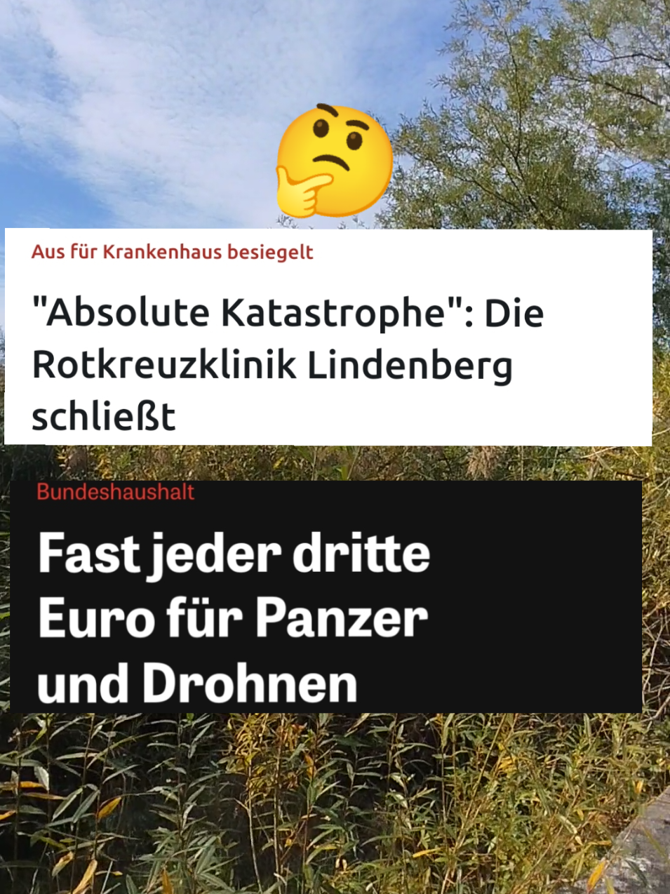 @Die Linke Lindau