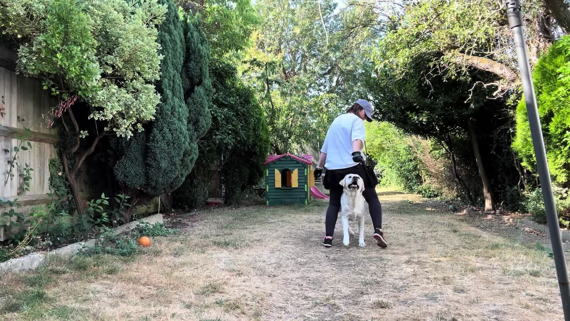 @Teddy 💕Charlie🐾💙