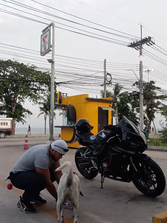 @gymlifeไทย