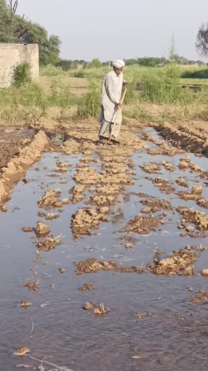 @KASHIF JUTT NAGHYAL🇵🇰🇪🇦