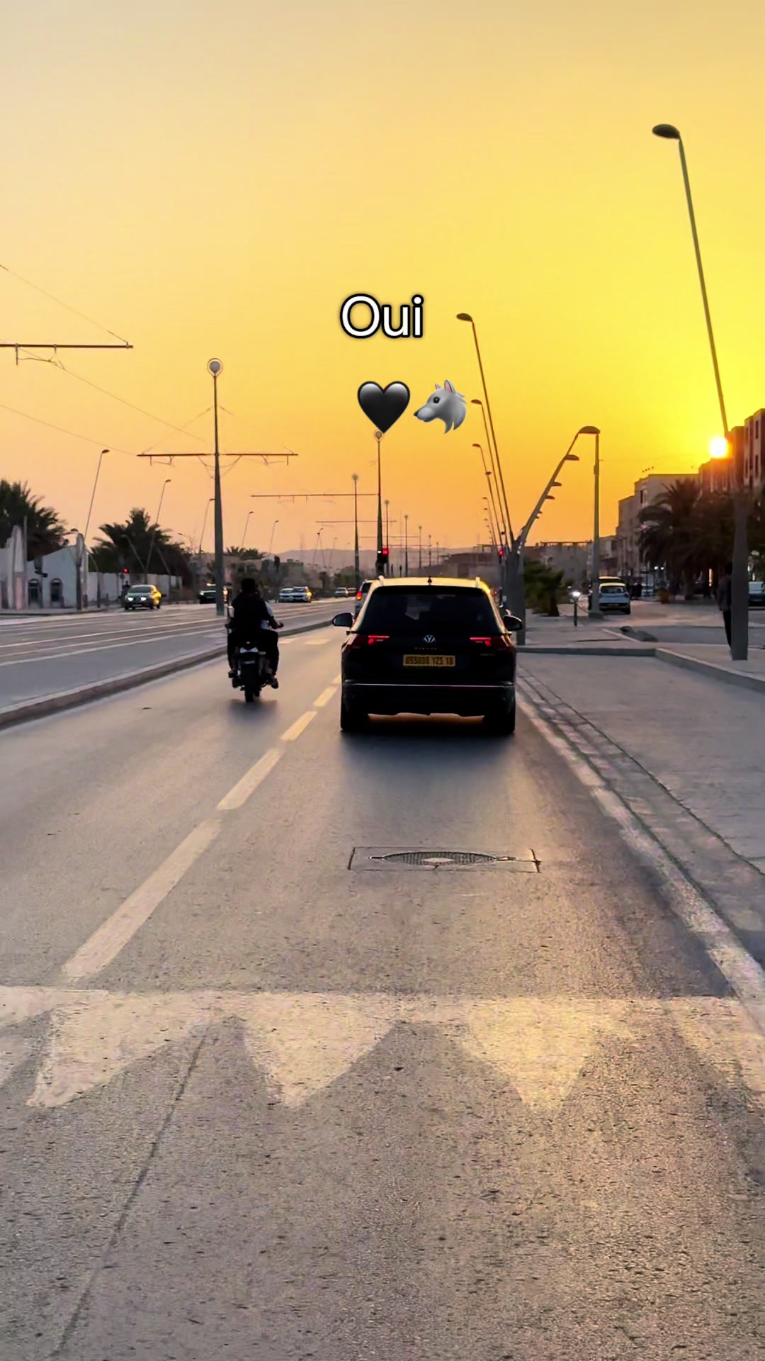 @Karim Karim 🕸️30🕸️