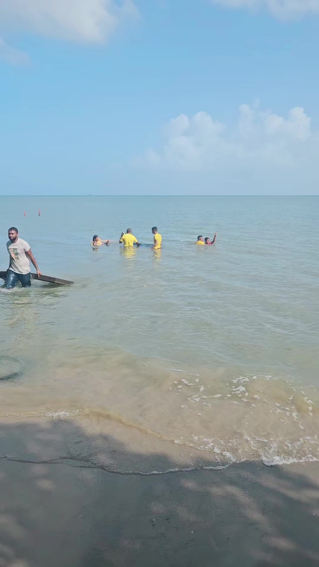 @davisdavis101🇬🇾🇹🇹🇺🇲