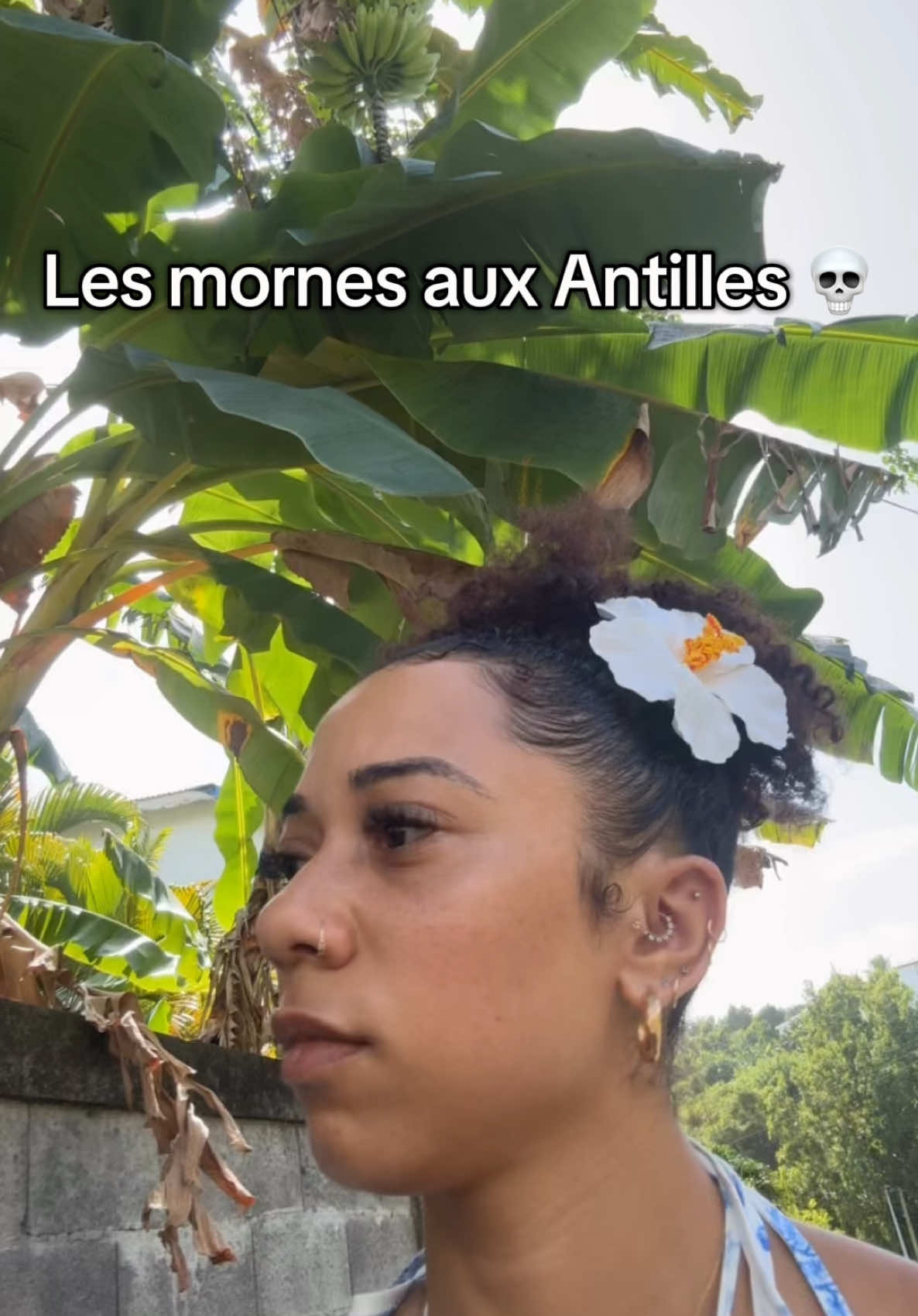 @SoDrᥱ́ᥲ ♡