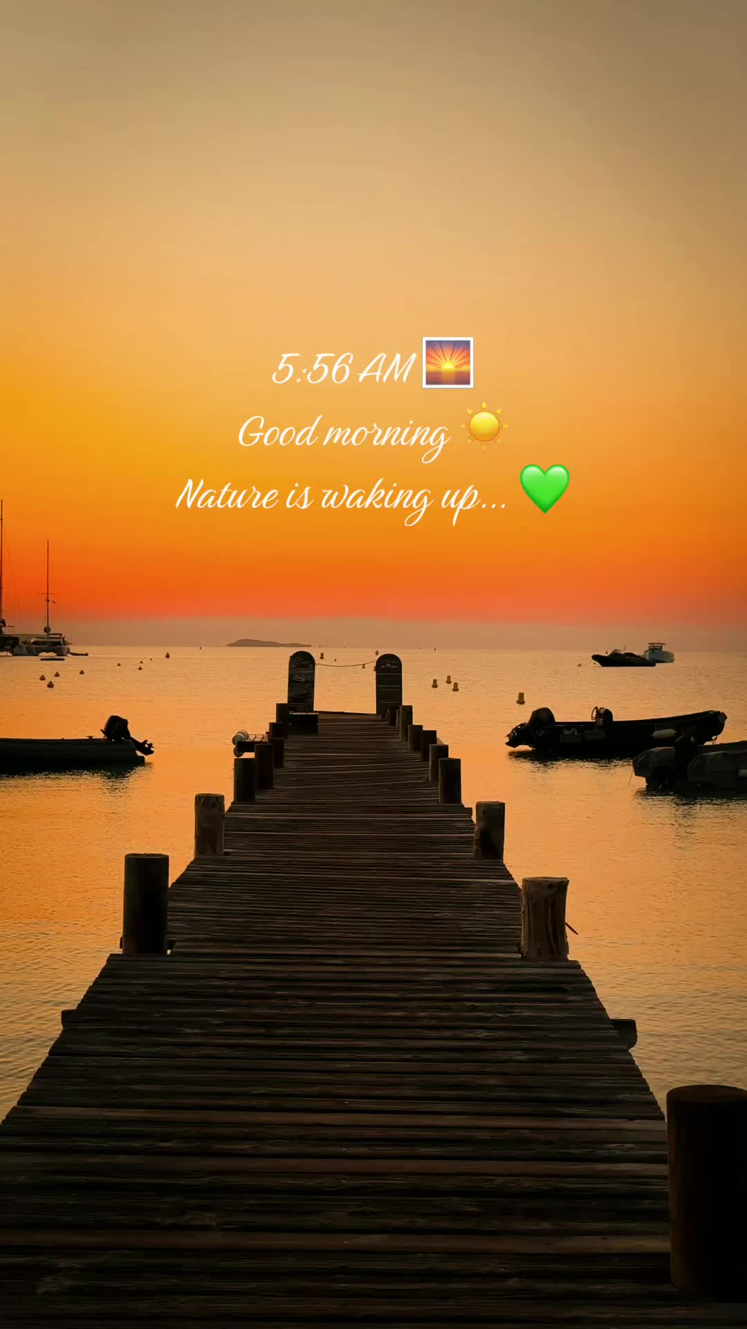 @☀️Elena🌜☘️🌾🌻🌺